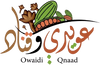 Owaidi Qnaad
